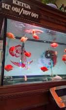 AQUARIUM